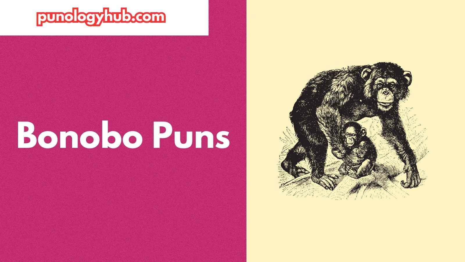 Bonobo Puns