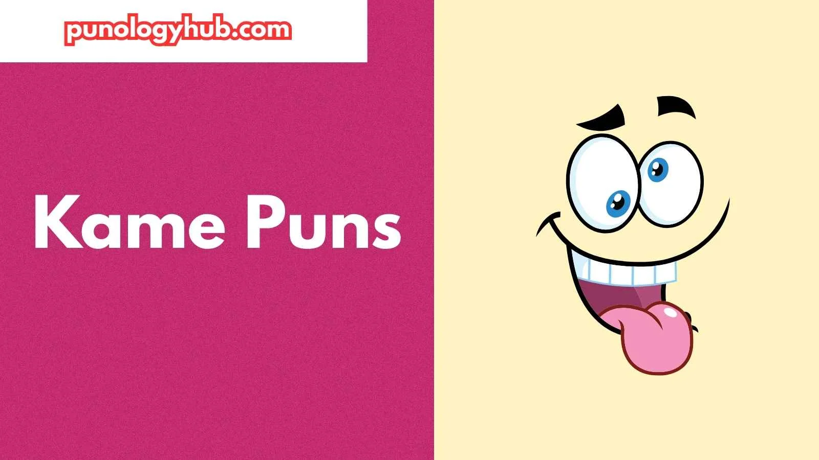 Kame Puns