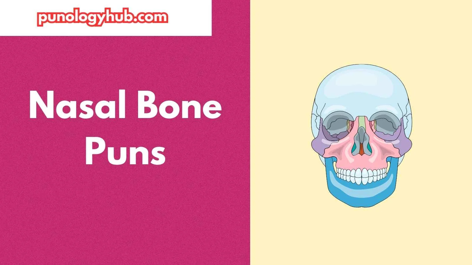 Nasal Bone Puns