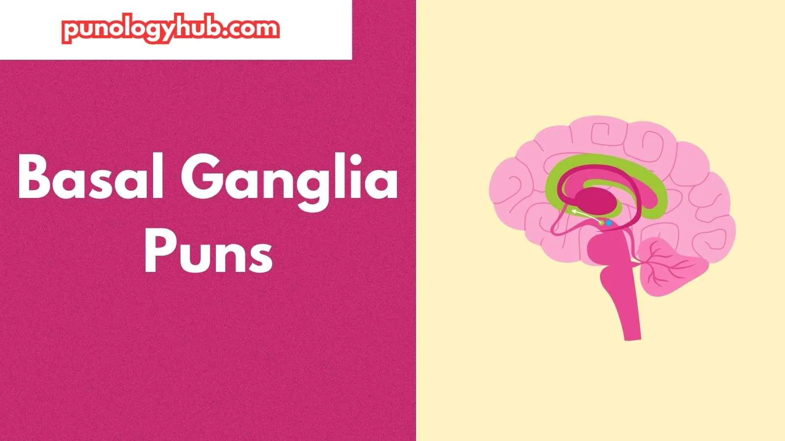 Basal Ganglia Puns