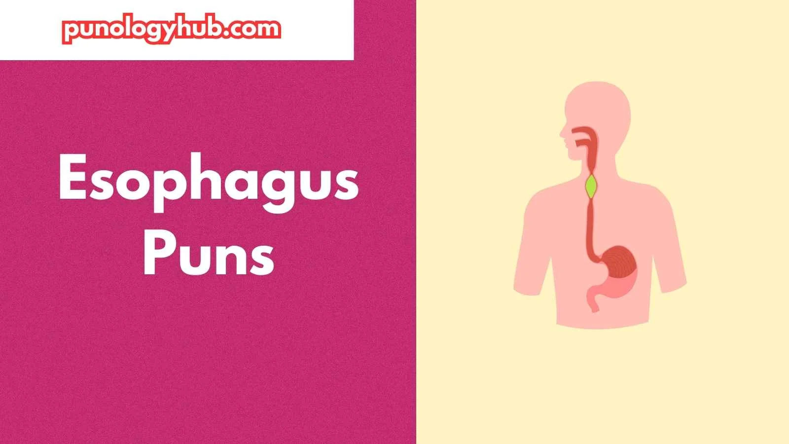 Esophagus Puns