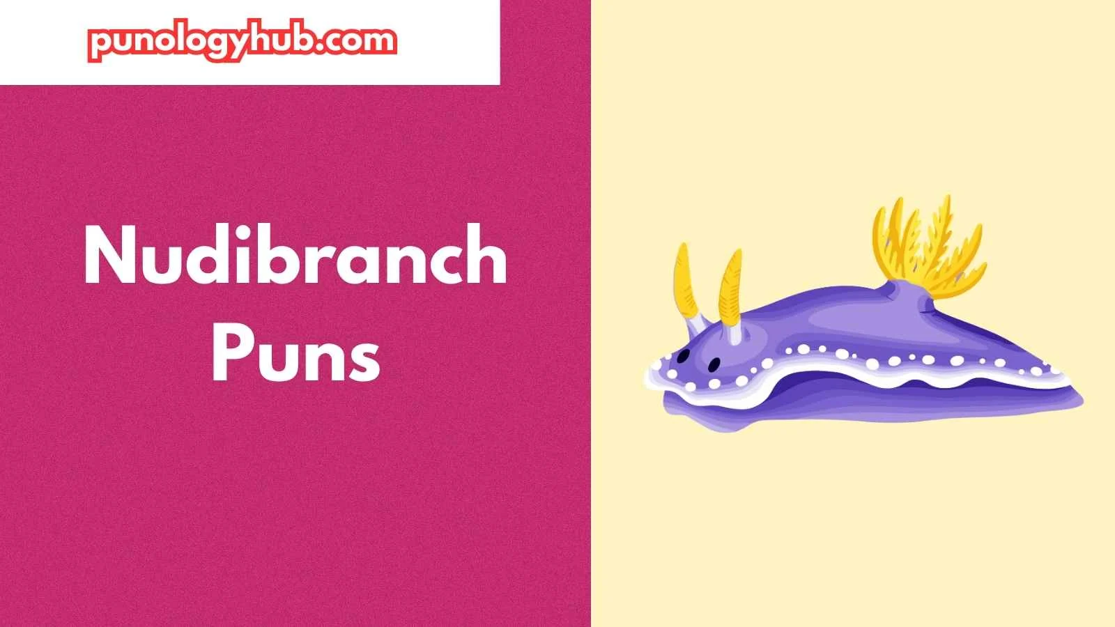 Nudibranch Puns
