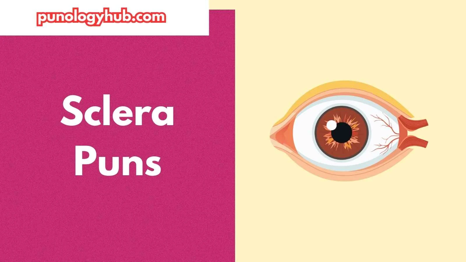 Sclera Puns