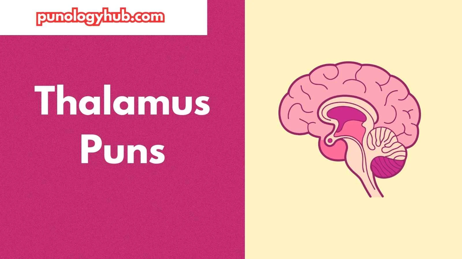 Thalamus Puns
