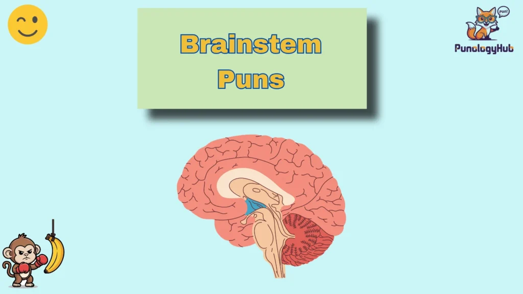 Brainstem Puns
