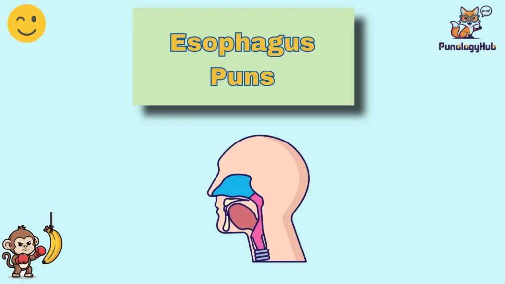 Esophagus Puns