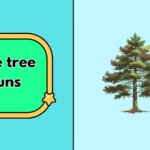 Pine tree puns