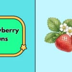 Strawberry puns