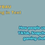 SYBAU Meaning in Text