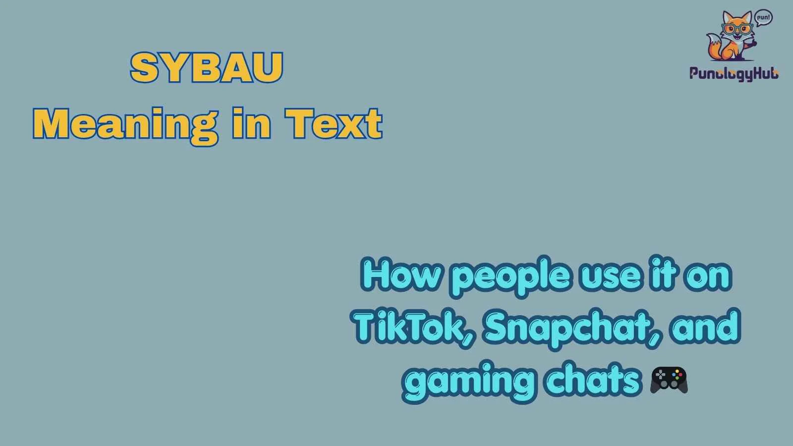SYBAU Meaning in Text