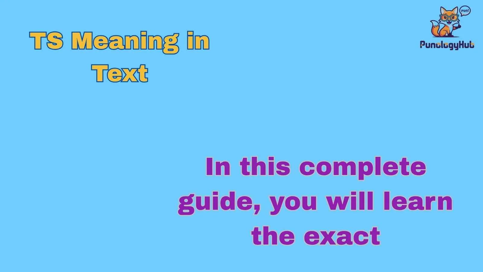 TS Meaning in Text