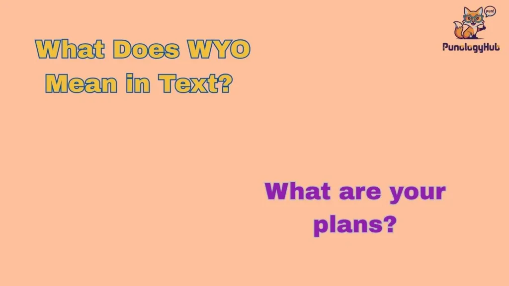 What Does WYO Mean in Text?