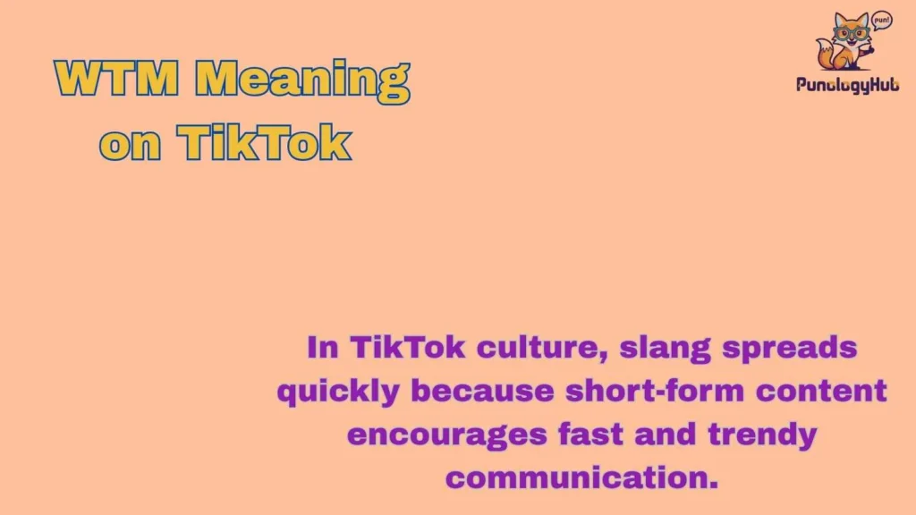 WTM Meaning on TikTok