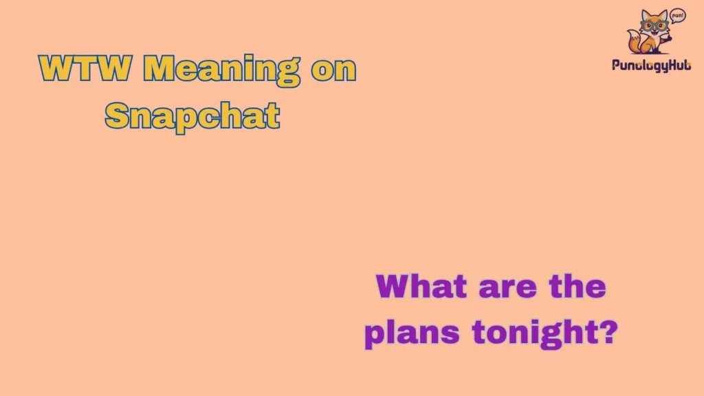 WTW Meaning on Snapchat