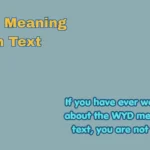 WYD Meaning in Text